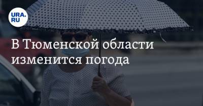 В Тюменской области изменится погода - ura.news - Тюмень - Тюменская обл.