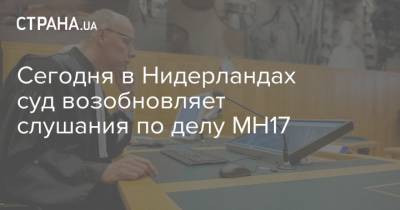 Олег Пулатов - Сегодня в Нидерландах суд возобновляет слушания по делу MH17 - strana.ua - Россия - Украина - Голландия