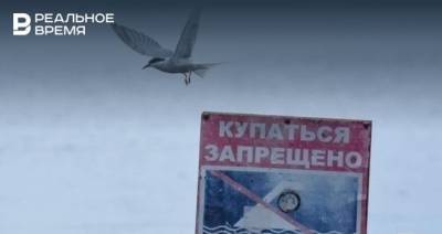 Максим Платонов - В Казани на пляже утонул ребенок — это первый несчастный случай за последние 10 лет - realnoevremya.ru - Казань - Татарстан