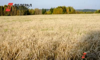 В Омской области сняли режим ЧС, введенный из-за сильной засухи - fedpress.ru - Омск - Омская обл.