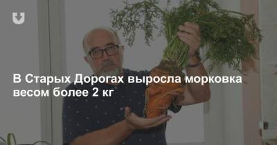 В Старых Дорогах выросла морковка весом более 2 кг - news.tut.by - Слуцк