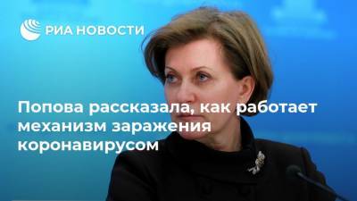 Анна Попова - Попова рассказала, как работает механизм заражения коронавирусом - ria.ru - Москва - Россия