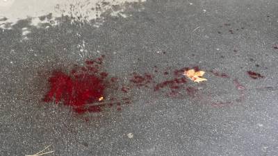 Нападение в Париже - месть за карикатуры - ru.euronews.com - Франция - Париж - Нападение