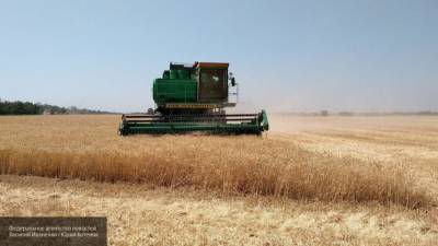 Второй по величине урожай пшеницы собрали в России в 2020 году - polit.info - Россия