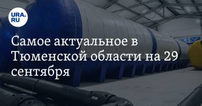 Рамиль Шамсутдинов - Самое актуальное в Тюменской области на 29 сентября. В регионе продлен карантин, с Шамсутдинова требуют 27 миллионов - ura.news - Тюмень - Тюменская обл. - Тобольск