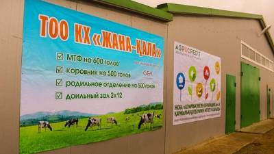 Новую молочную ферму запускают в Павлодарской области - zakon.kz - Павлодарская обл.