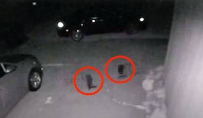 Скотт Уоринг - Дверная камера сняла двух таинственных существ в Техасе - ufacitynews.ru - США - Техас - Даллас