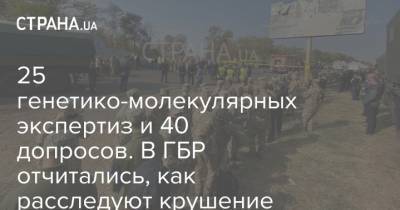 25 генетико-молекулярных экспертиз и 40 допросов. В ГБР отчитались, как расследуют крушение Ан-26 - strana.ua - Украина