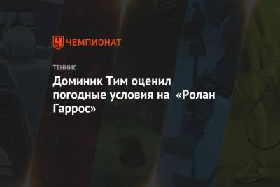 Тим Доминик - Марин Чилич - Доминик Тим оценил погодные условия на «Ролан Гаррос» - championat.com - Австрия - Франция - Хорватия - Чехия