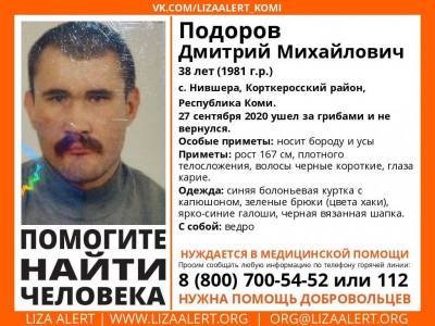 В Корткеросском районе собака нашла пропавшего грибника по следу - komiinform.ru - респ. Коми