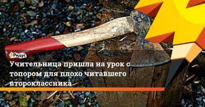 Учительница пришла на урок с топором для плохо читавшего второклассника - ridus.ru - Оха