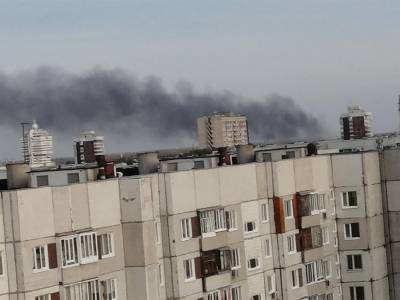 В Димитровграде свалки, в Заволжье гарь, в Засвияжье бабушки падают на дорогу. На что жаловались ульяновцы в соцсетях - ulpravda.ru - Димитровград