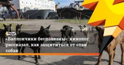 Андрей Цветков - Баллончики бесполезны: кинолог рассказал, как защититься отстаи собак - skuke.net