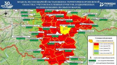 МЧС не исключает повторения лесных пожаров в Воронежской области - gorcom36.ru - Россия - Воронежская обл.