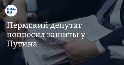 Владимир Путин - Пермский депутат попросил защиты у Путина. «Прессинг не прекращается» - ura.news - Россия - респ. Алания - Пермский край