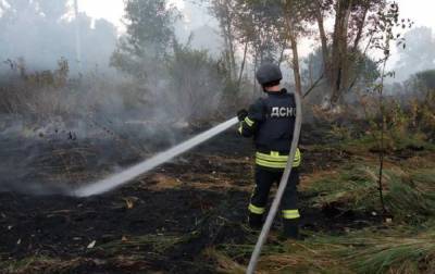 Пожар в Луганской области: ликвидированы два очага огня - rbc.ua - Луганская обл. - район Станично-Луганский