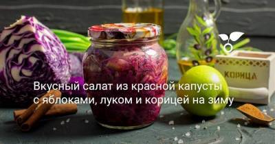 Вкусный салат из красной капусты с яблоками, луком и корицей на зиму - skuke.net