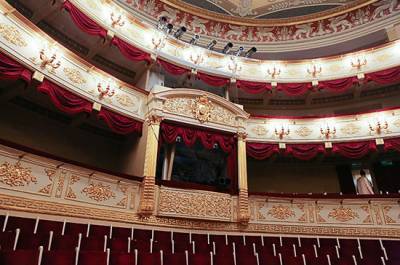 Алла Манилова - Театрам разрешат заполнять залы на 70% с середины сентября - pnp.ru