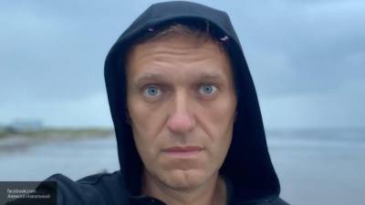 Алексей Навальный - Петр Верзилов - Немецкая оппозиция просит предоставить Навальному убежище в Германии - newinform.com - Москва - Россия - Германия