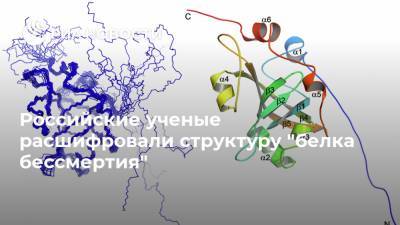 Российские ученые расшифровали структуру "белка бессмертия" - ria.ru - Москва