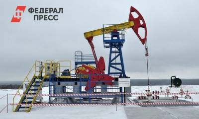 Михаил Иванов - Россия собирается снижать импорт нефтегазового оборудования - fedpress.ru - Москва - Россия