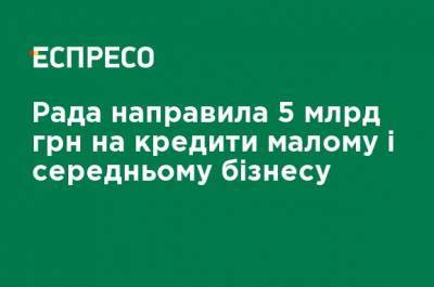Денис Шмыгаль - Рада направила 5 млрд грн на кредиты малому и среднему бизнесу - ru.espreso.tv - Украина