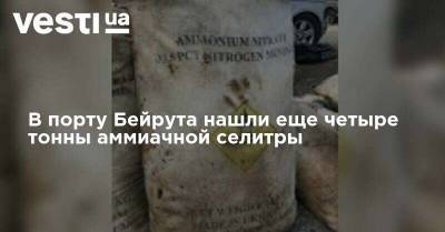 В порту Бейрута нашли еще четыре тонны аммиачной селитры - vesti.ua - Ливан - Бейрут - Аммиак