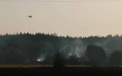В Харьковской области зафиксировали еще один лесной пожар - korrespondent.net - Украина - Харьковская обл. - Гсчс