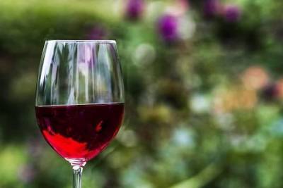 Винодельня «Кубань-Вино» заняла второе место на Mundus Vini 2020 - versia.ru - Германия