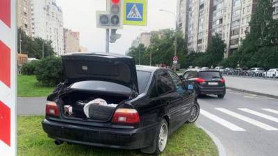 Полиция задержала водителя BMW с наркотиками в Приморском районе - piter.tv - р-н Приморский