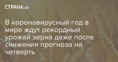 В коронавирусный год в мире ждут рекордный урожай зерна даже после снижения прогноза на четверть - strana.ua - США - Украина