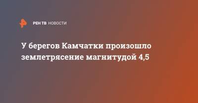 У берегов Камчатки произошло землетрясение магнитудой 4,5 - ren.tv - Россия - Камчатский край - Палана