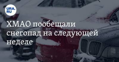 ХМАО пообещали снегопад на следующей неделе - ura.news - Ханты-Мансийск - Сургут - Югра