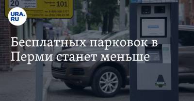 Полина Осипенко - Бесплатных парковок в Перми станет меньше - ura.news - Пермь