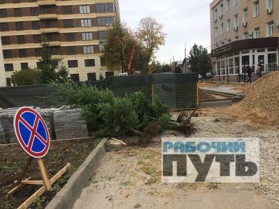 Около областной прокуратуры в Смоленске выкопали 11 пихт - rabochy-put.ru - Смоленск
