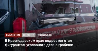 В Краснодарском крае подросток стал фигурантом уголовного дела о грабеже - kubnews.ru - Краснодарский край - Следственный Комитет