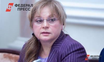 Элла Памфилова - Виктор Миненко - ЦИК попросил избирком Петербурга уйти в отставку - fedpress.ru - Москва - Санкт-Петербург