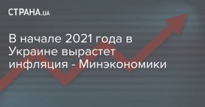 В начале 2021 года в Украине вырастет инфляция - Минэкономики - strana.ua - Украина