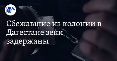 Александр Калашников - Сбежавшие из колонии в Дагестане зеки задержаны - ura.news - Россия - респ. Дагестан