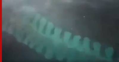 Индонезия - Загадочное десятиметровое существо обнаружили у берега моря: видео - profile.ru - Indonesia