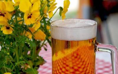 Председатель совета Ассоциации производителей пива прогнозирует рост цен на пиво из-за обязательной маркировки - argumenti.ru - Россия
