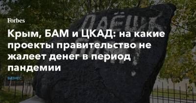 Крым, БАМ и ЦКАД: на какие проекты правительство не жалеет денег в период пандемии - forbes.ru - Москва - Крым