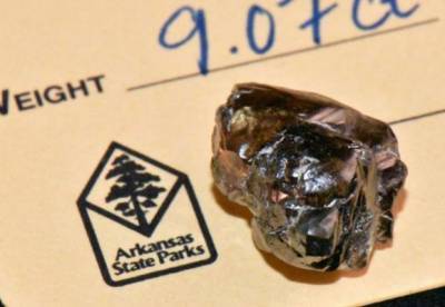 Житель Арканзаса нашел в парке алмаз размером в 9 карат - facenews.ua - штат Арканзас