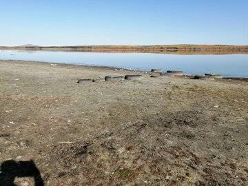 Активисты просят власти Башкирии спасти озеро, которое обросло опасными водорослями - ufacitynews.ru - Башкирия - район Учалинский