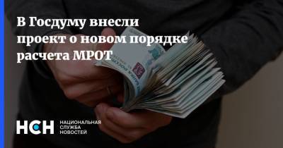 В Госдуму внесли проект о новом порядке расчета МРОТ - nsn.fm