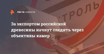 Викторий Абрамченко - За экспортом российской древесины начнут следить через объективы камер - ren.tv - Россия