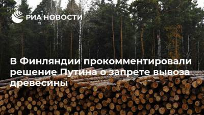 Владимир Путин - В Финляндии прокомментировали решение Путина о запрете вывоза древесины - smartmoney.one - Россия - Финляндия - Helsinki