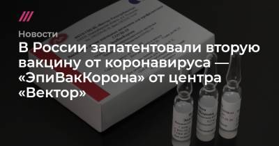Владимир Путин - Григорий Ивлиев - В России запатентовали вторую вакцину от коронавируса — «ЭпиВакКорона» от центра «Вектор» - tvrain.ru - Москва - Россия