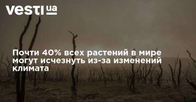 Почти 40% всех растений в мире могут исчезнуть из-за изменений климата - vesti.ua