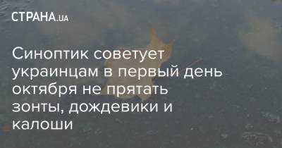 Наталья Диденко - Синоптик советует украинцам в первый день октября не прятать зонты, дождевики и калоши - strana.ua - Днепропетровская обл.